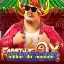 milhar do macaco que mais saem no jogo do bicho