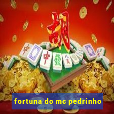 fortuna do mc pedrinho