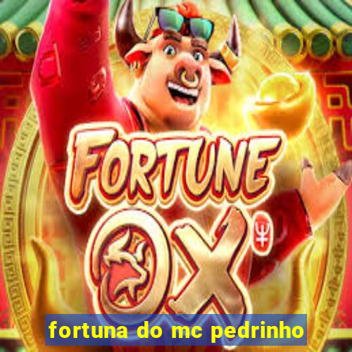 fortuna do mc pedrinho