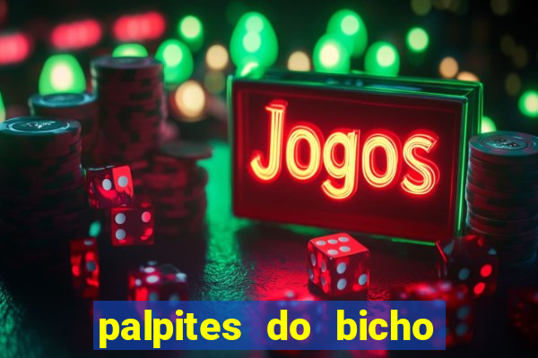 palpites do bicho no celular