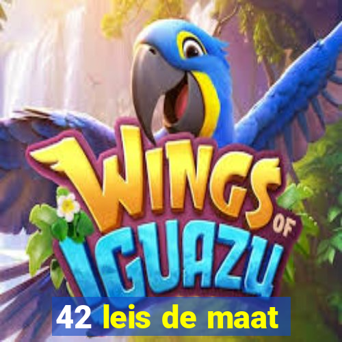 42 leis de maat