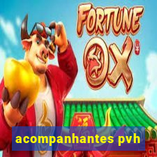 acompanhantes pvh