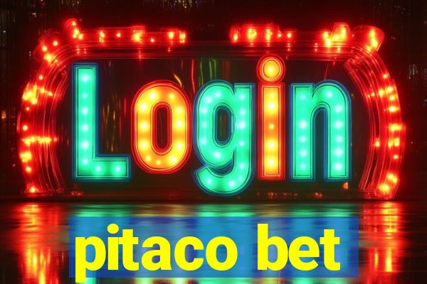 pitaco bet