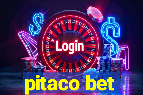 pitaco bet