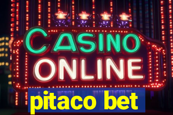 pitaco bet