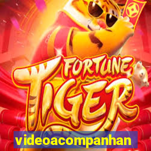 videoacompanhante