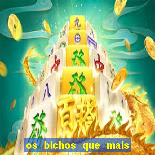 os bichos que mais saem na loteria federal