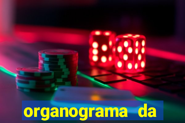 organograma da cacau show