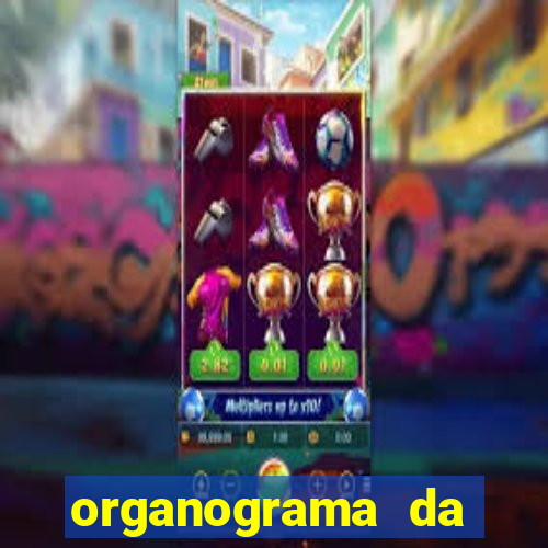 organograma da cacau show