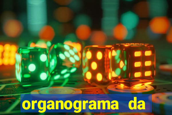 organograma da cacau show