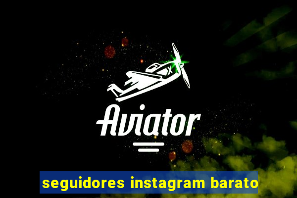 seguidores instagram barato