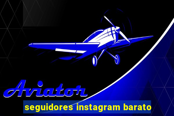 seguidores instagram barato