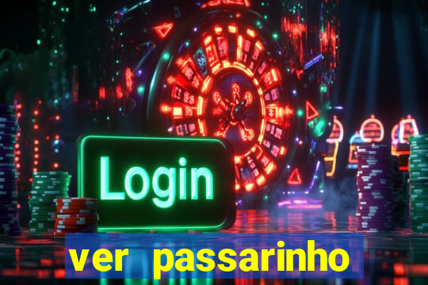 ver passarinho morto significado