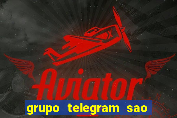 grupo telegram sao jose do rio preto