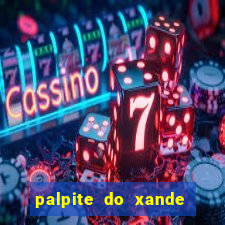 palpite do xande de hoje