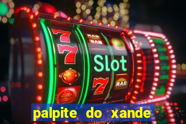 palpite do xande de hoje