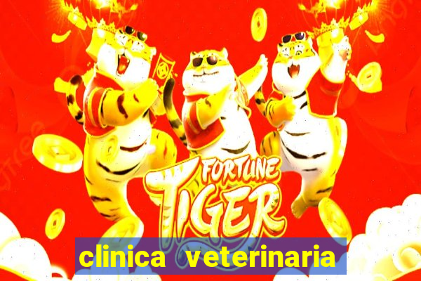 clinica veterinaria cuidar betim