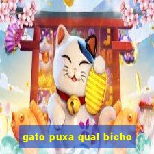 gato puxa qual bicho