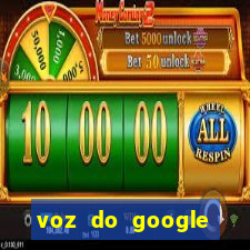 voz do google tradutor homem