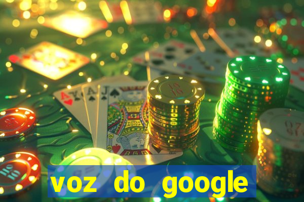 voz do google tradutor homem