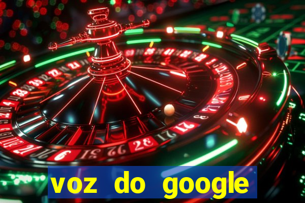 voz do google tradutor homem