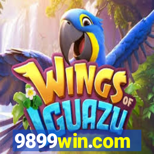 9899win.com