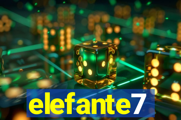 elefante7