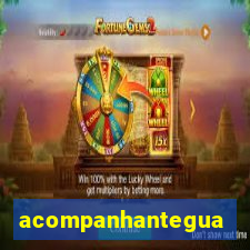 acompanhanteguanambi