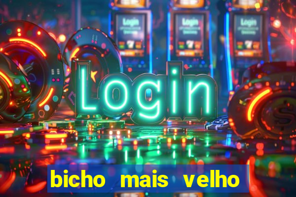 bicho mais velho da loteria dos sonhos