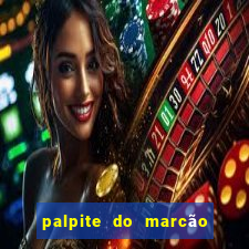 palpite do marcão jogo do bicho