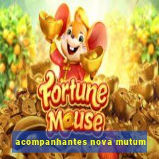 acompanhantes nova mutum