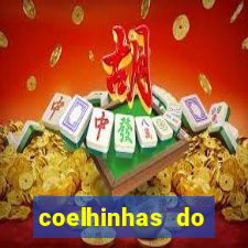 coelhinhas do brasil acompanhantes