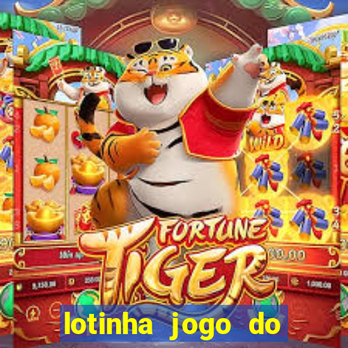 lotinha jogo do bicho como funciona