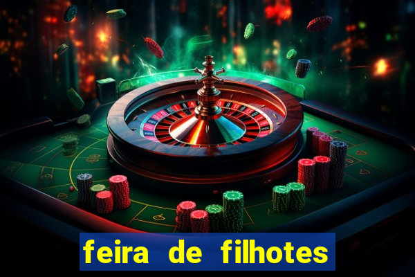 feira de filhotes porto alegre