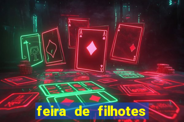 feira de filhotes porto alegre