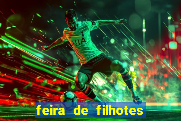 feira de filhotes porto alegre