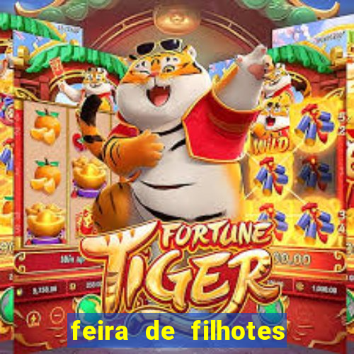 feira de filhotes porto alegre