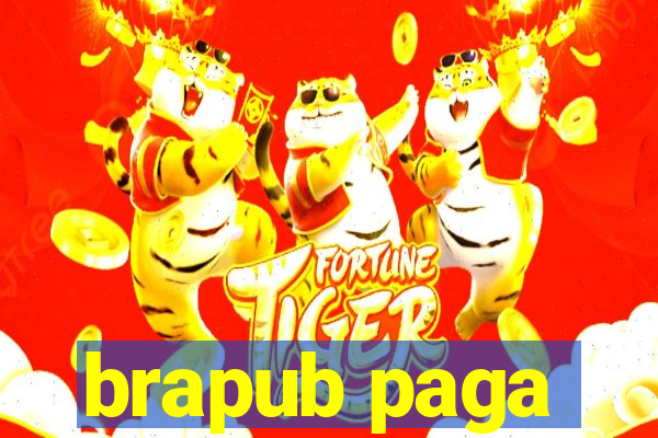 brapub paga