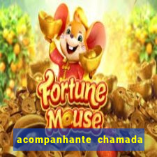 acompanhante chamada de video