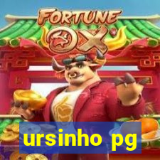 ursinho pg