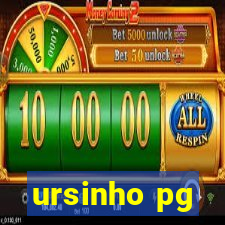 ursinho pg