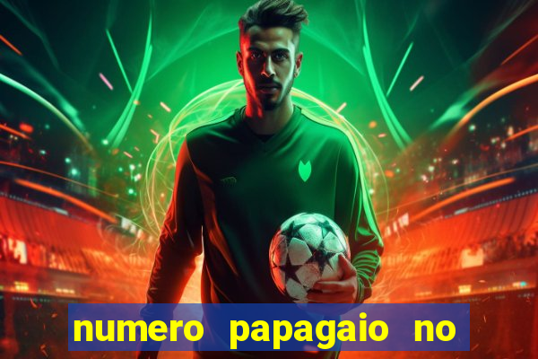 numero papagaio no jogo do bicho