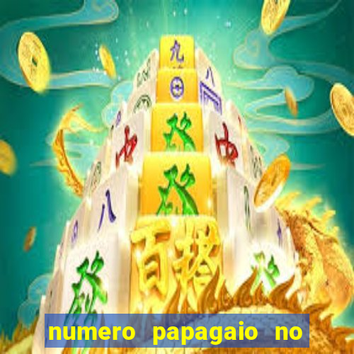 numero papagaio no jogo do bicho