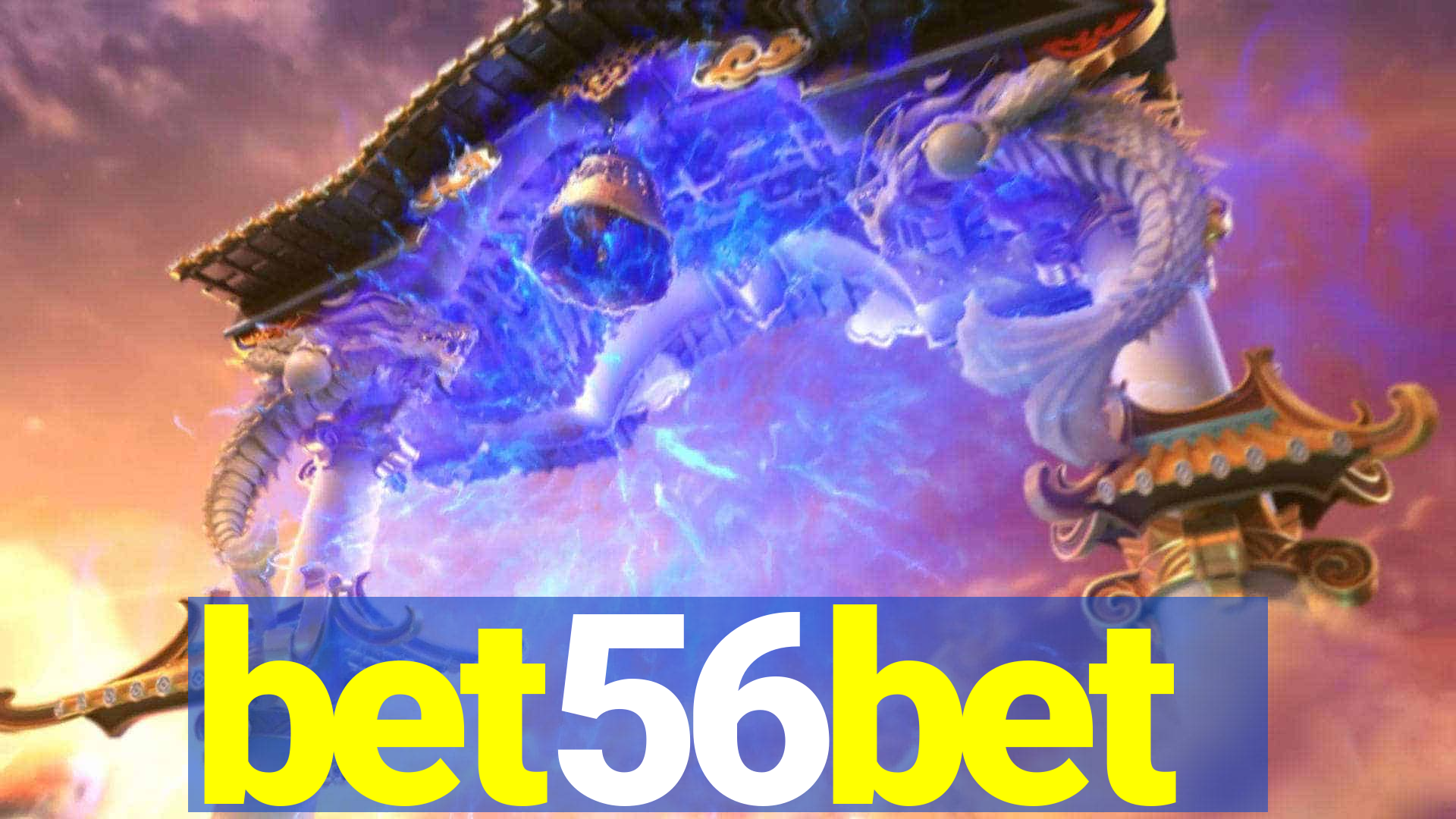 bet56bet