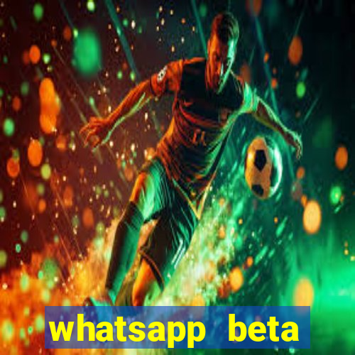 whatsapp beta 3.3.10 2024