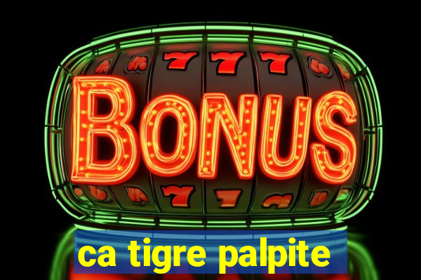 ca tigre palpite