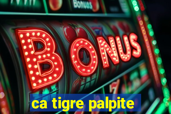 ca tigre palpite