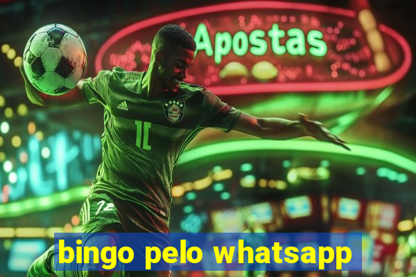 bingo pelo whatsapp