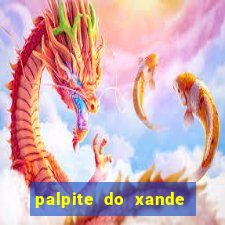 palpite do xande para hoje