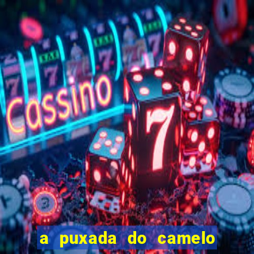 a puxada do camelo no jogo do bicho